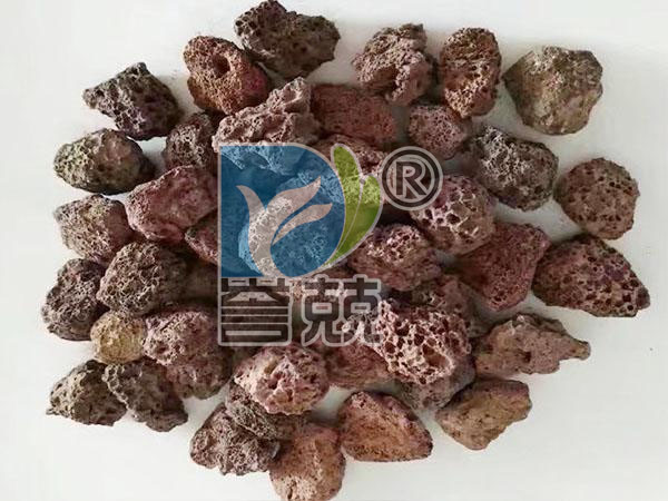 爱游戏登录官网:2019-2023年中國立式屏蔽泵市場远景及投資機會研讨報告